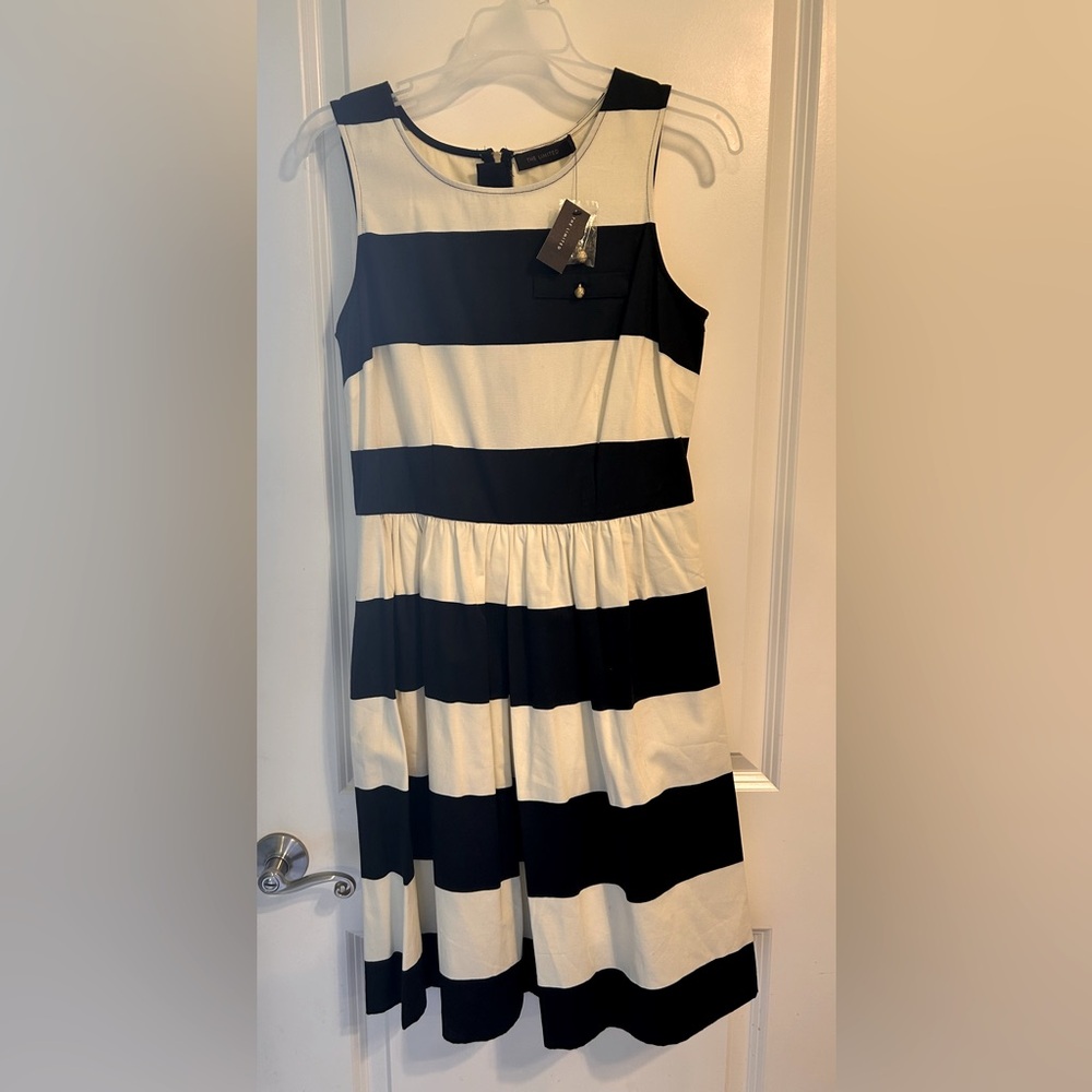 The Limited Blue and White Sleeveless Sundress